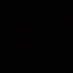 Meet your Posher, Fekirte